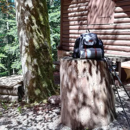 Stinneshof Apartman *