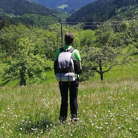 Stinneshof * Oberharmersbach