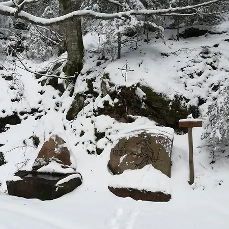 Apartman Stinneshof Oberharmersbach