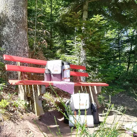 Stinneshof Apartman *