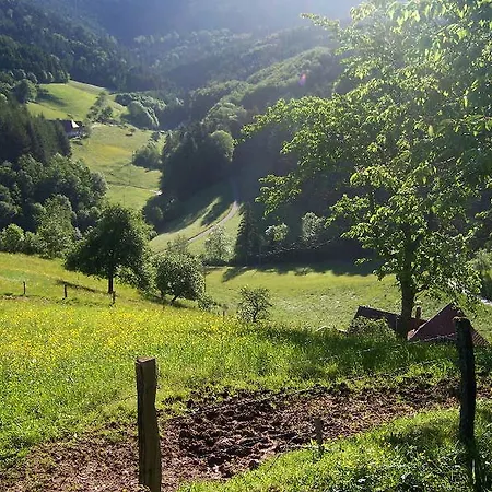 Stinneshof * Oberharmersbach