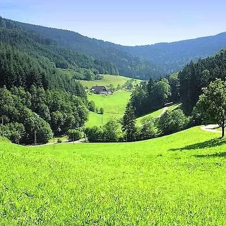 Apartment Stinneshof Oberharmersbach