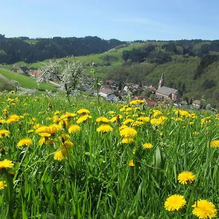 Stinneshof Oberharmersbach
