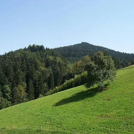 Stinneshof *