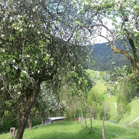Stinneshof