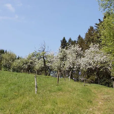 Stinneshof Oberharmersbach