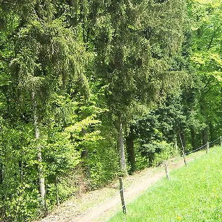 Apartment Stinneshof Oberharmersbach